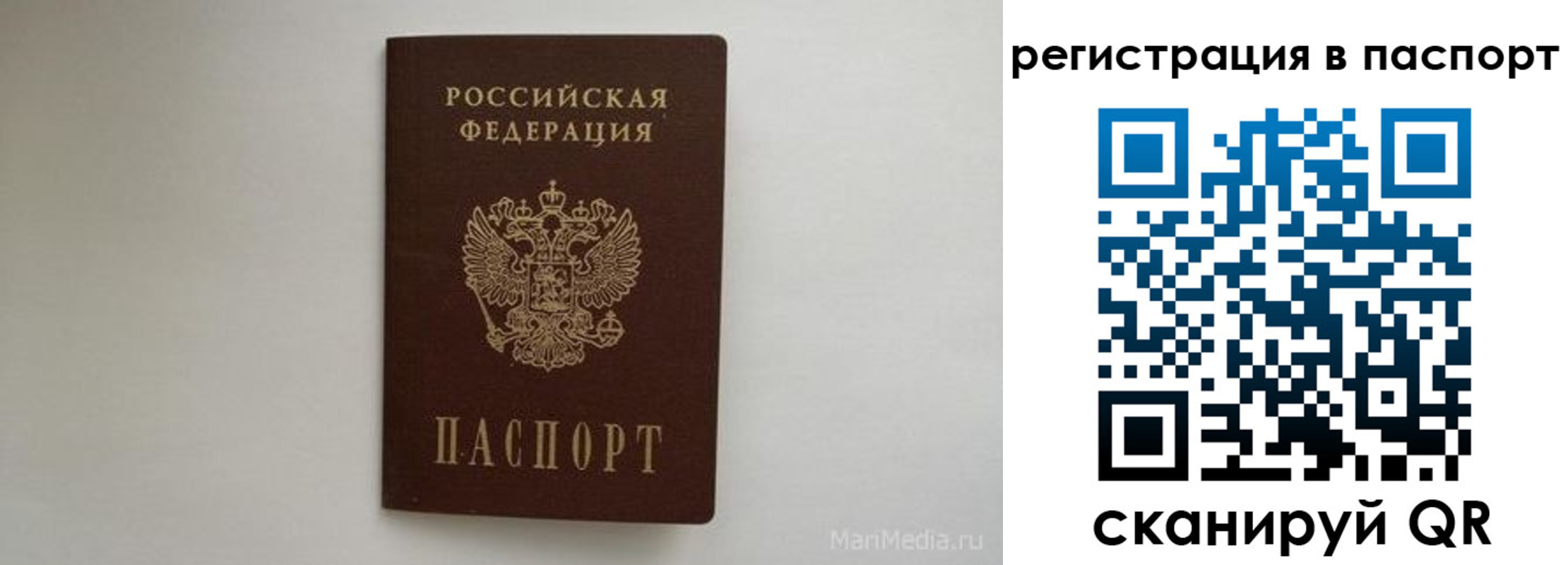прописка в Ростове
